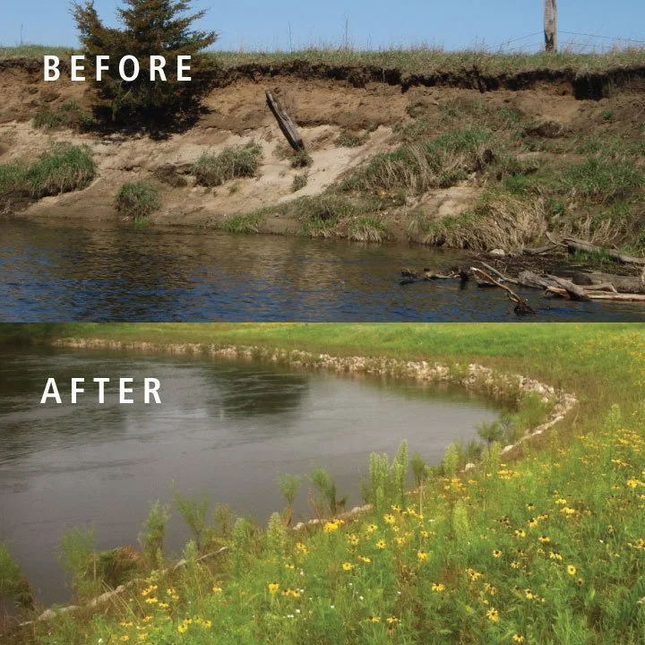 Before and after photo showing restored riverbanks on the Rum River.